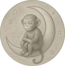 monkeymoon.co.in